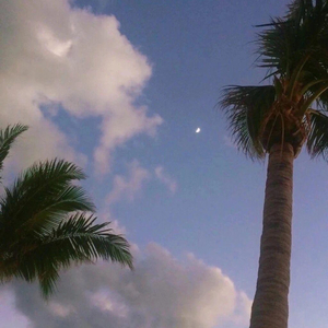 高清国产AV一区二区三区
